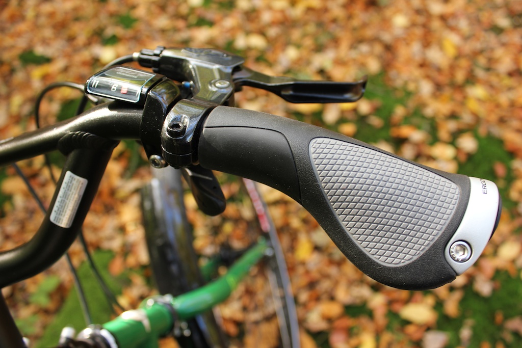 ergon grips with bar ends